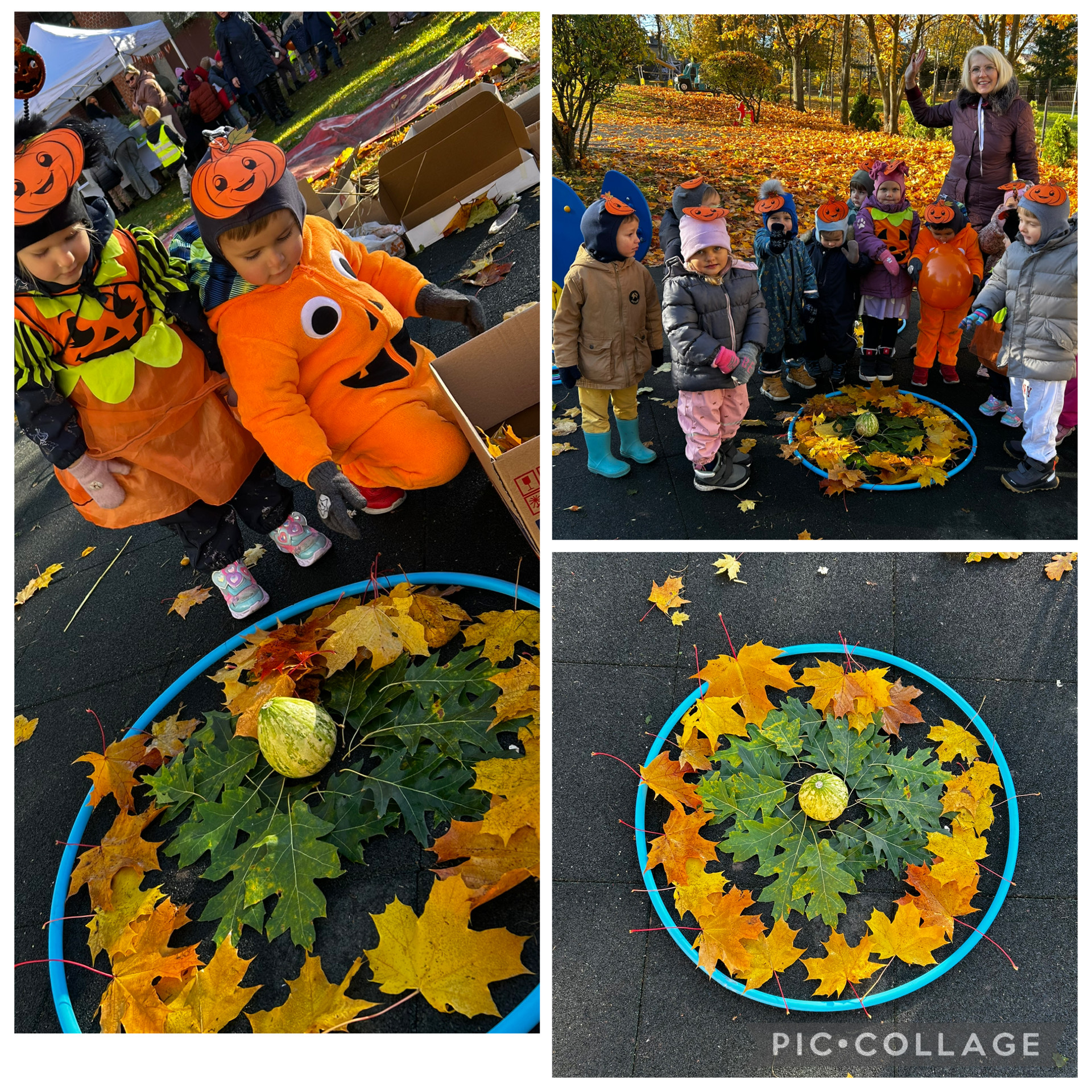 „Ei, moliūge, kur tu?“